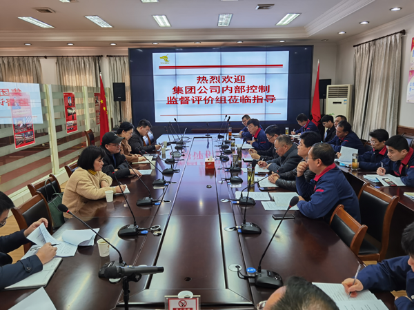 集團(tuán)公司到公司開展內(nèi)控自評檢查工作  集團(tuán)公司到公司開展內(nèi)控自評檢查工作